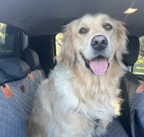 Ruff Roads Supply Instagram post