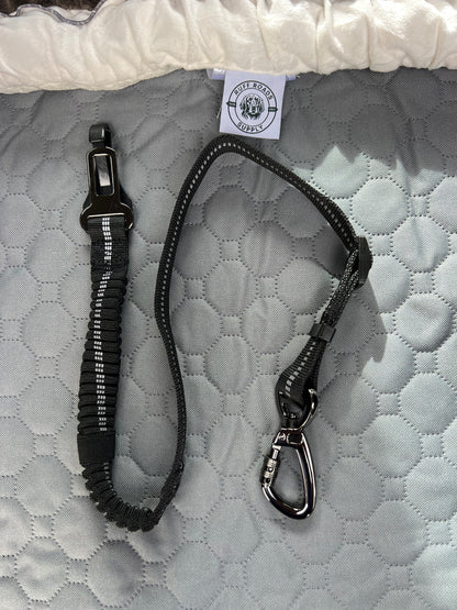 Heavy Duty Dog Seat Belt