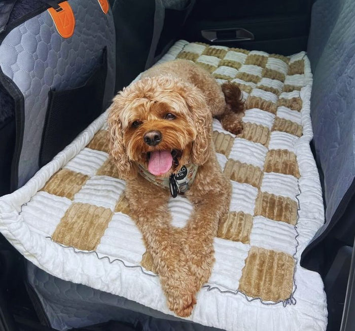 Cavoodle lying on the beige Luxury Dog Bed on top of the seat cover