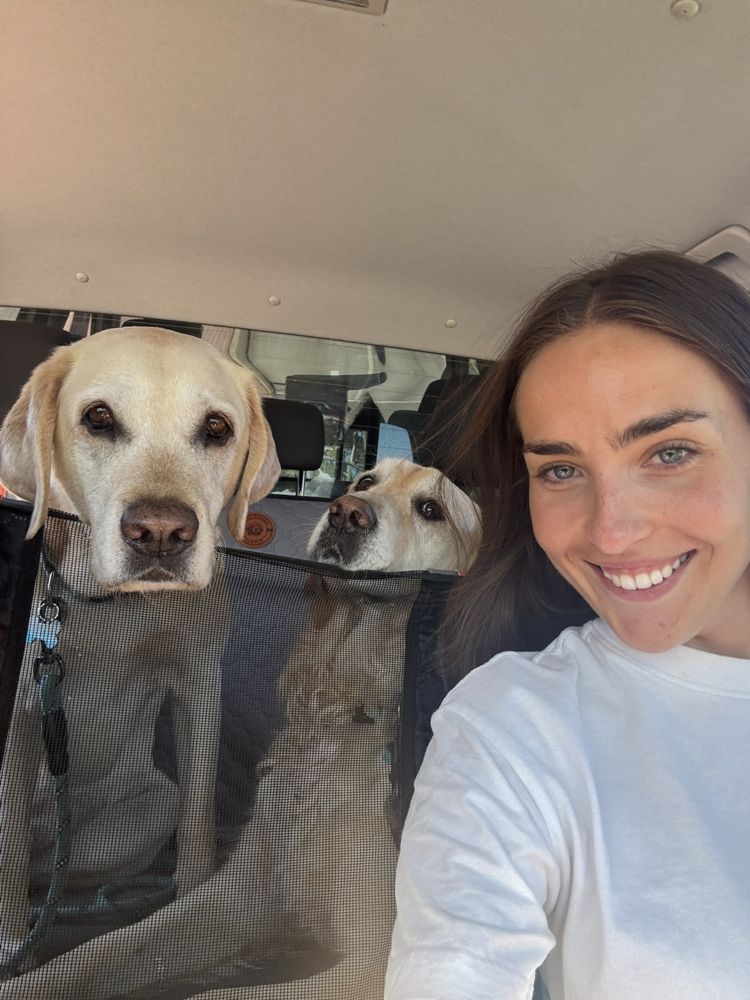 Brooke in the car with Soy and Sushi peeking over the mesh