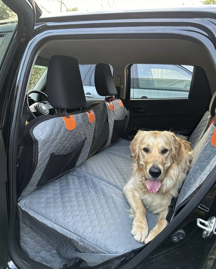 Golden retriever lying on the grey hard bottom seat cover with the car door open